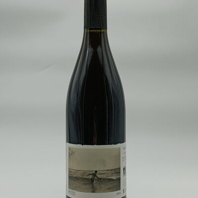 Beauduc 2023 - Red Wine Without Added Sulfites - IGP Terre de Camargue ORGANIC