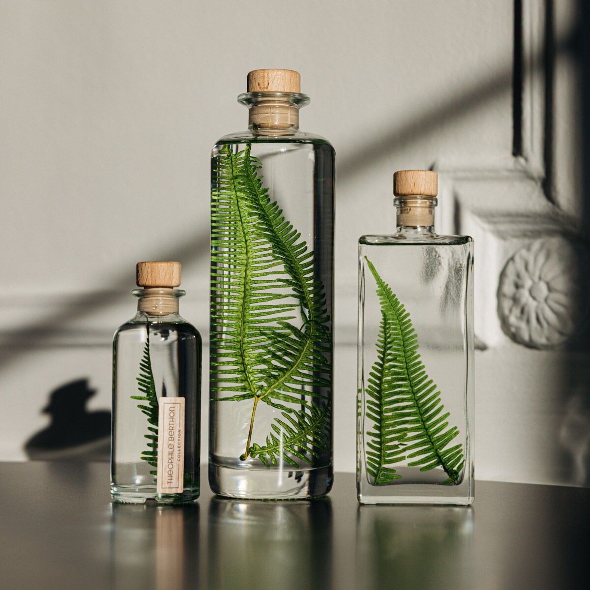 L'Herbarium de Théophile - Hellgrüner Bergfarn - Untergetauchte Pflanze