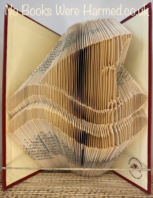 Shark fin : : Hand folded, Non cut book art