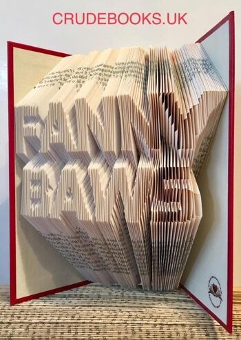 Cliquez pour voir : : Crude Books par No Books Were Harmed.co.uk : : Insultes d'art de livre plié à la main : : FANNY BAWS 1