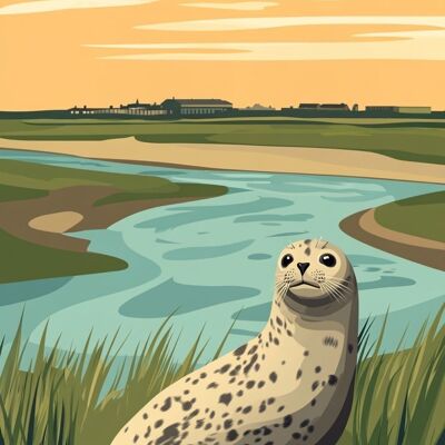 Baie de Somme poster - The seal is the star