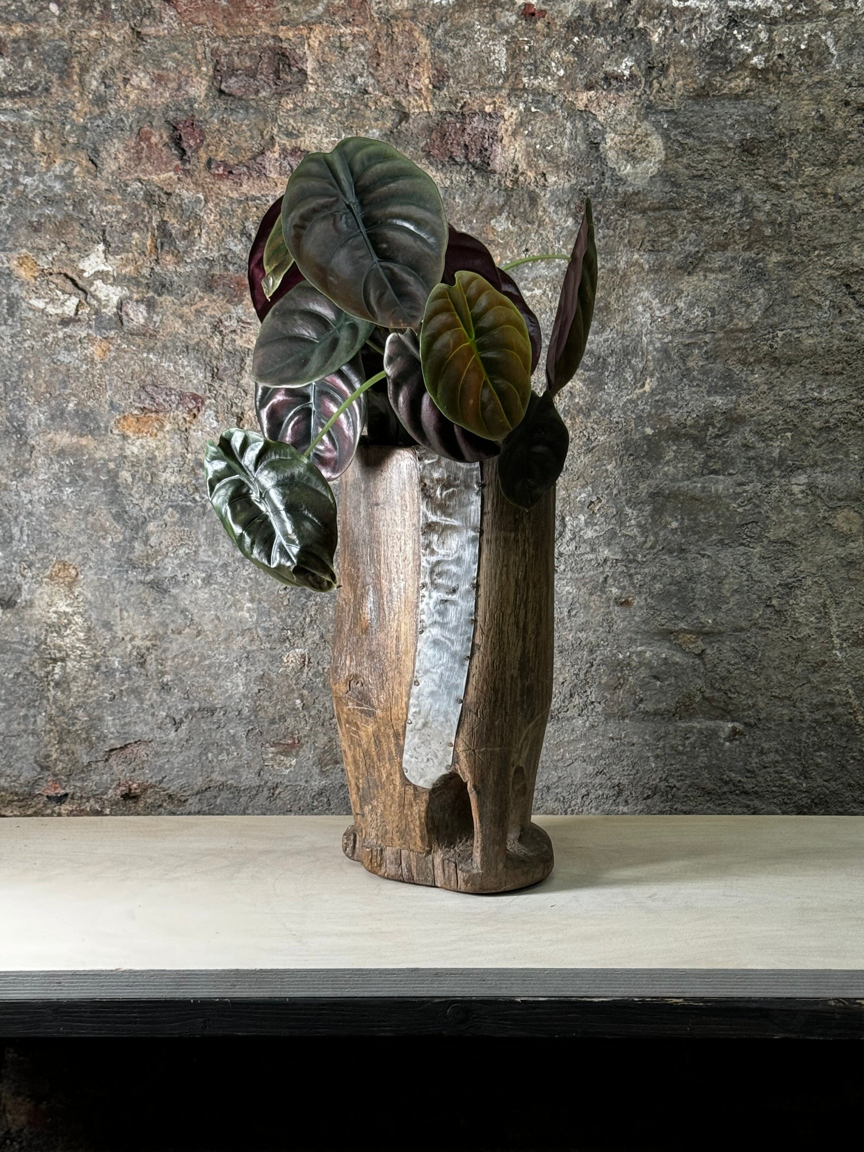 Vintage Tutsi Grain Stomper planted with Philodendron Red Shield FR20