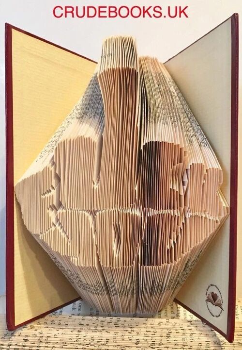 Click to view : : Crude Books by No Books Were Harmed.co.uk : : Hand folded book art insults : : F**K YOU hand