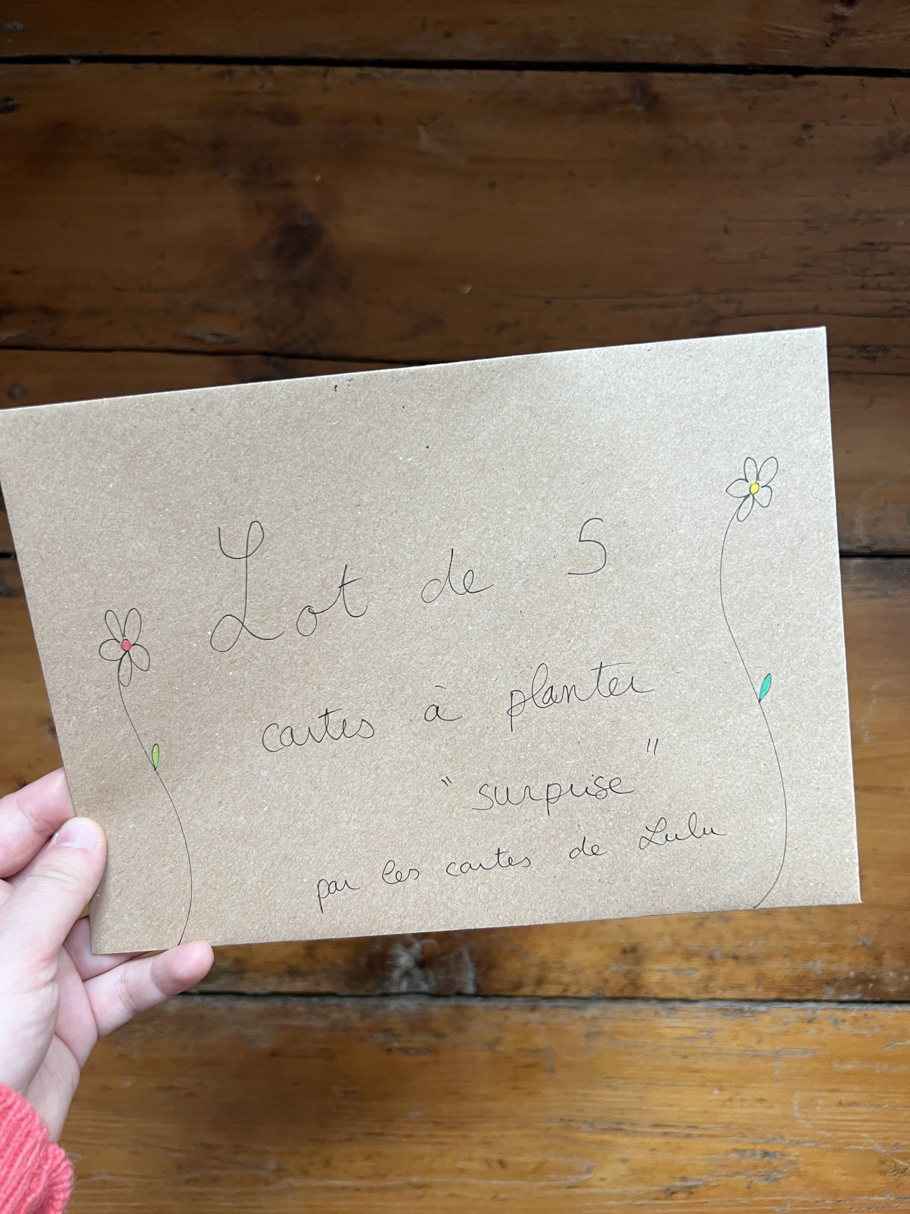 Lot de 5 cartes à planter "surprise"