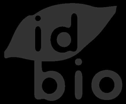 VERBENA INFUSION 100G