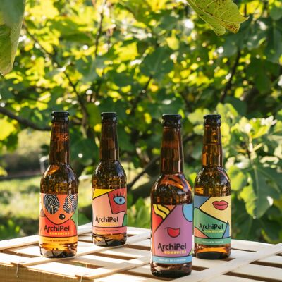 Mezcla de degustación - kombucha 3x4 - 33cl cada una