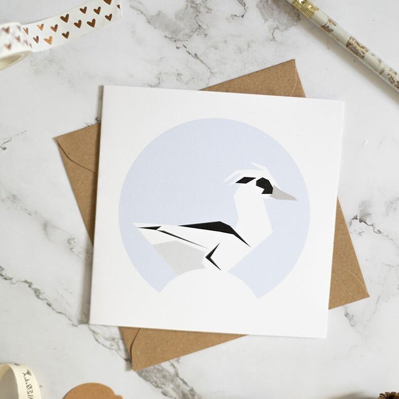 Piccola carta anatra - Smew