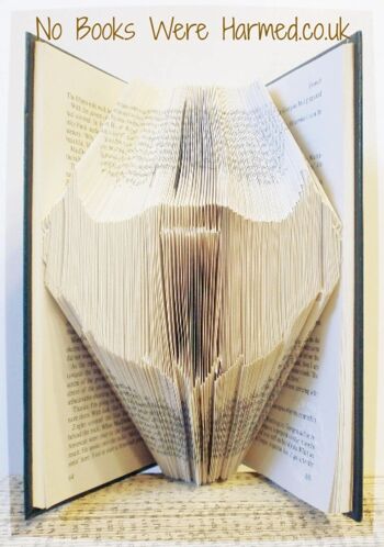 Barbe Book Fold :: Hipster Art! 3