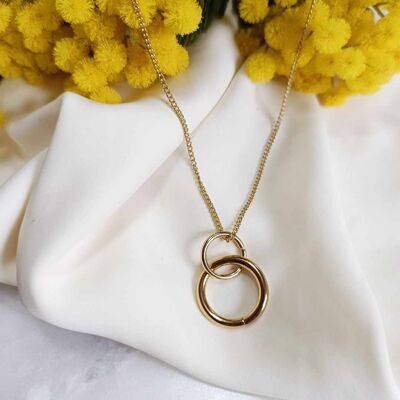 Collar de acero inoxidable - Emie
