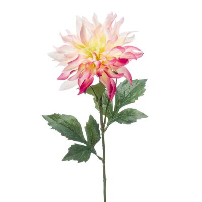 Dahlia en spray 60cm tt rose