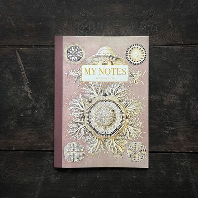 Libretto di appunti - Haeckel 2