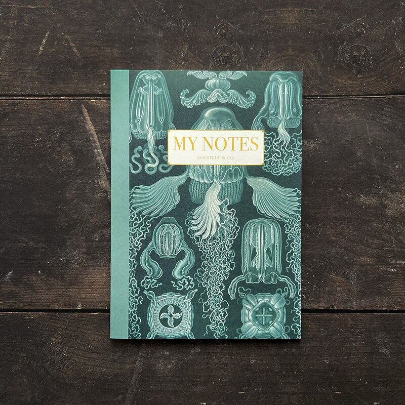 Libretto di appunti - Haeckel 3