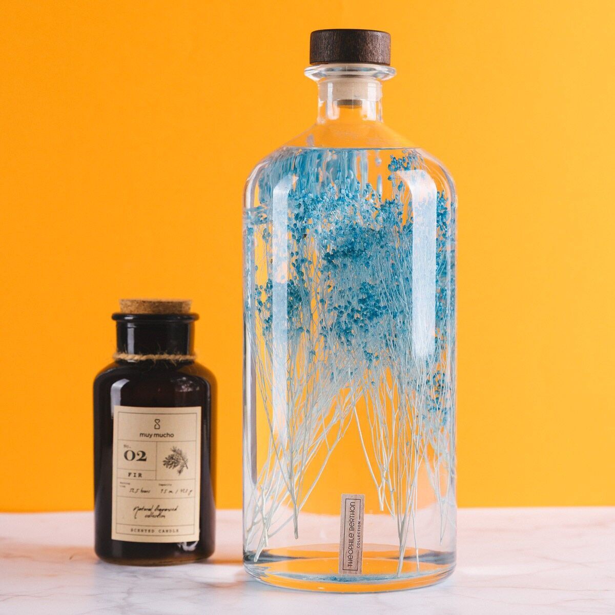 Théophile's Herbarium - XL Format Broom bloom turquoise blue 3 Litre Jar - Submerged plant