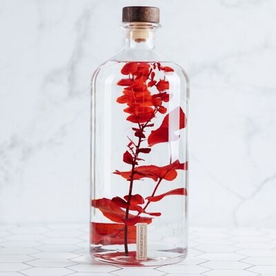 Théophile's Herbarium - XL Format Eucalyptus stuartiana Light Red 3 Liter Jar - Submerged Plant