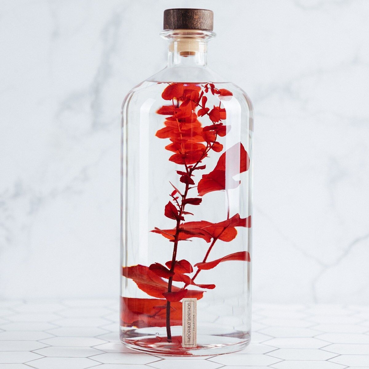 Théophile's Herbarium - XL Format Eucalyptus stuartiana Light Red 3 Liter Jar - Submerged Plant