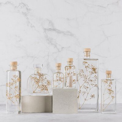 Erbario di Théophile - Gypsophila Gold - pianta sommersa