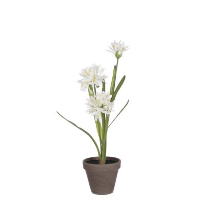 Plante artificielle Agapanthe blanche en pot gris Stran