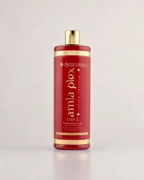 Shampoing Clarifiant Indien Amla Plex Step 1 - 1L
