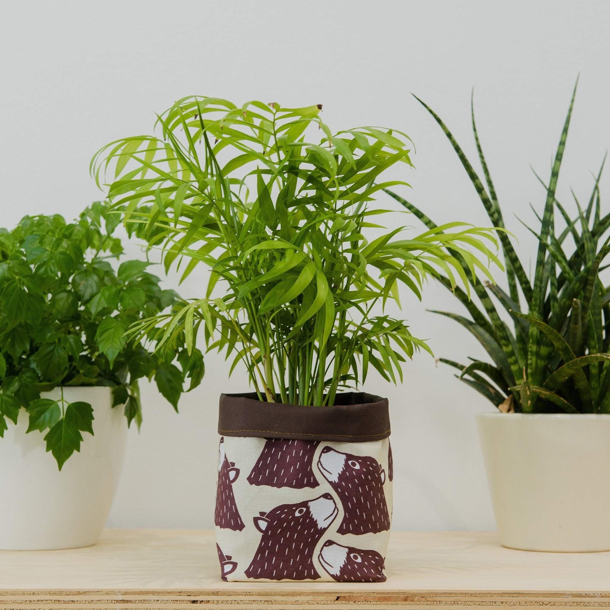 Macetero textil con estampado de oso