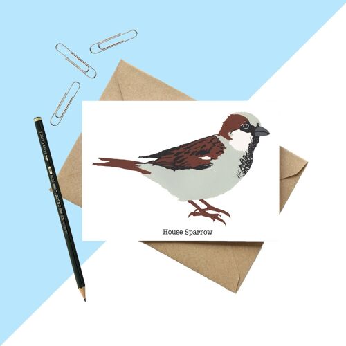House Sparrow Greetings Card A6