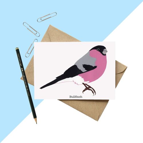 Bullfinch Greetings Card A6