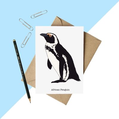 African Penguin Greetings Card A6