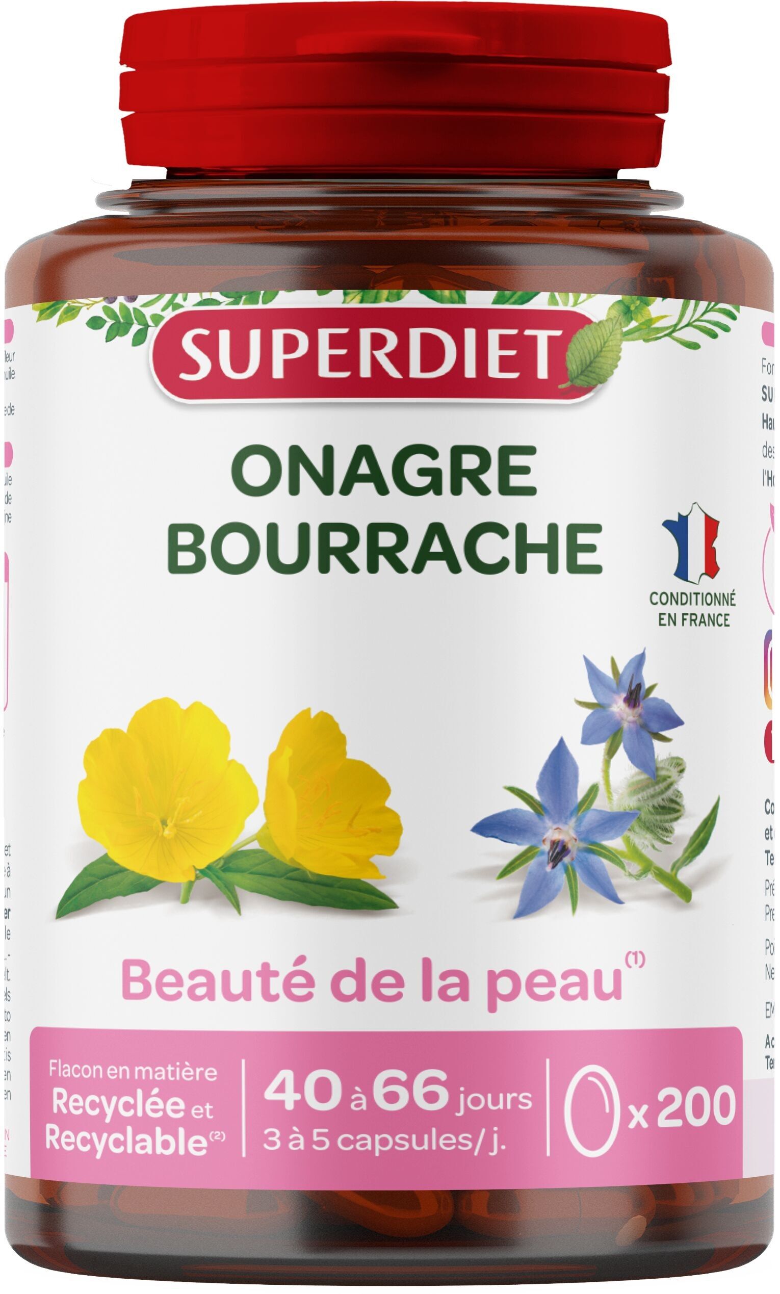 SUPERDIET - OLIO SERA SERA DI BORRAGINE