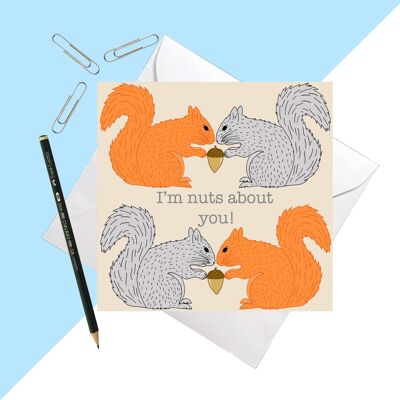 Squirrel 'I'm Nuts About You' Greetings Card 14.5cm
