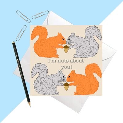 Tarjeta de felicitación de ardilla 'I'm Nuts About You' 14.5cm