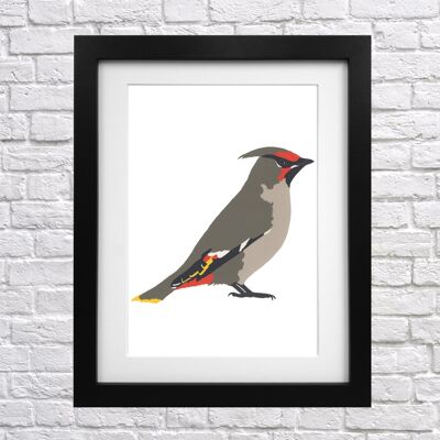 Stampa serigrafica Waxwing A4