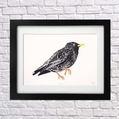 Serigrafía Starling A4