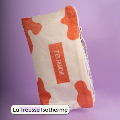 Insulated bag