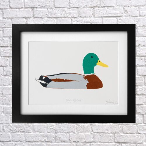 Male Mallard Duck Screen Print A4