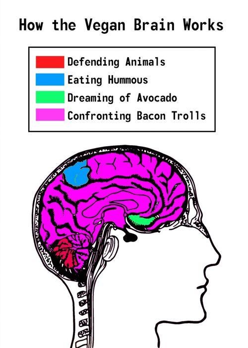 Vegan Brain