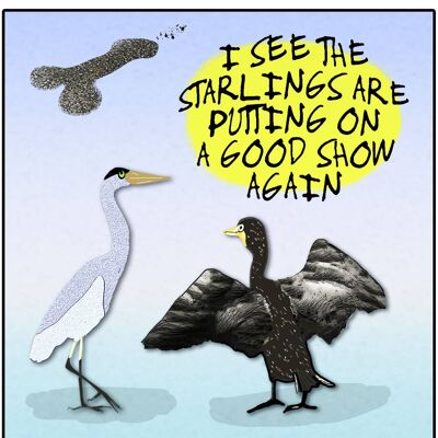 Starling Display