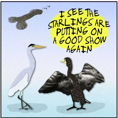 Starling Display