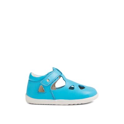 Step Up Zap II Aquarius