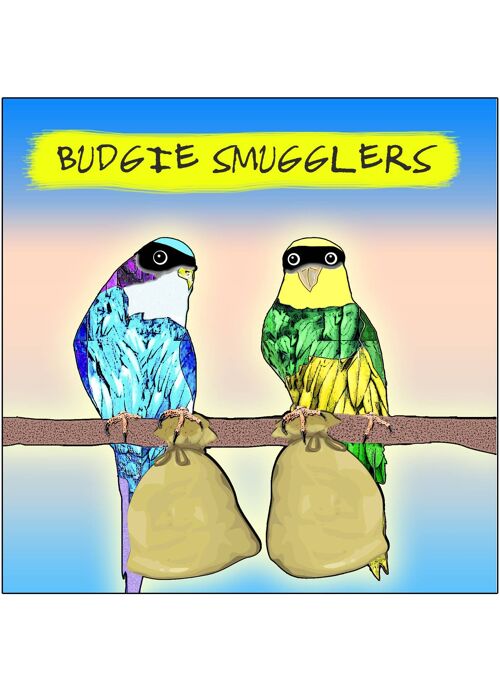 Budgie Smugglers