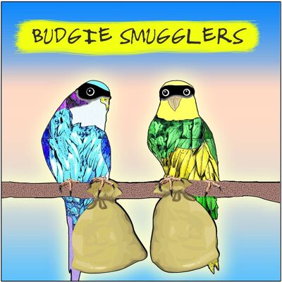 Budgie Smugglers