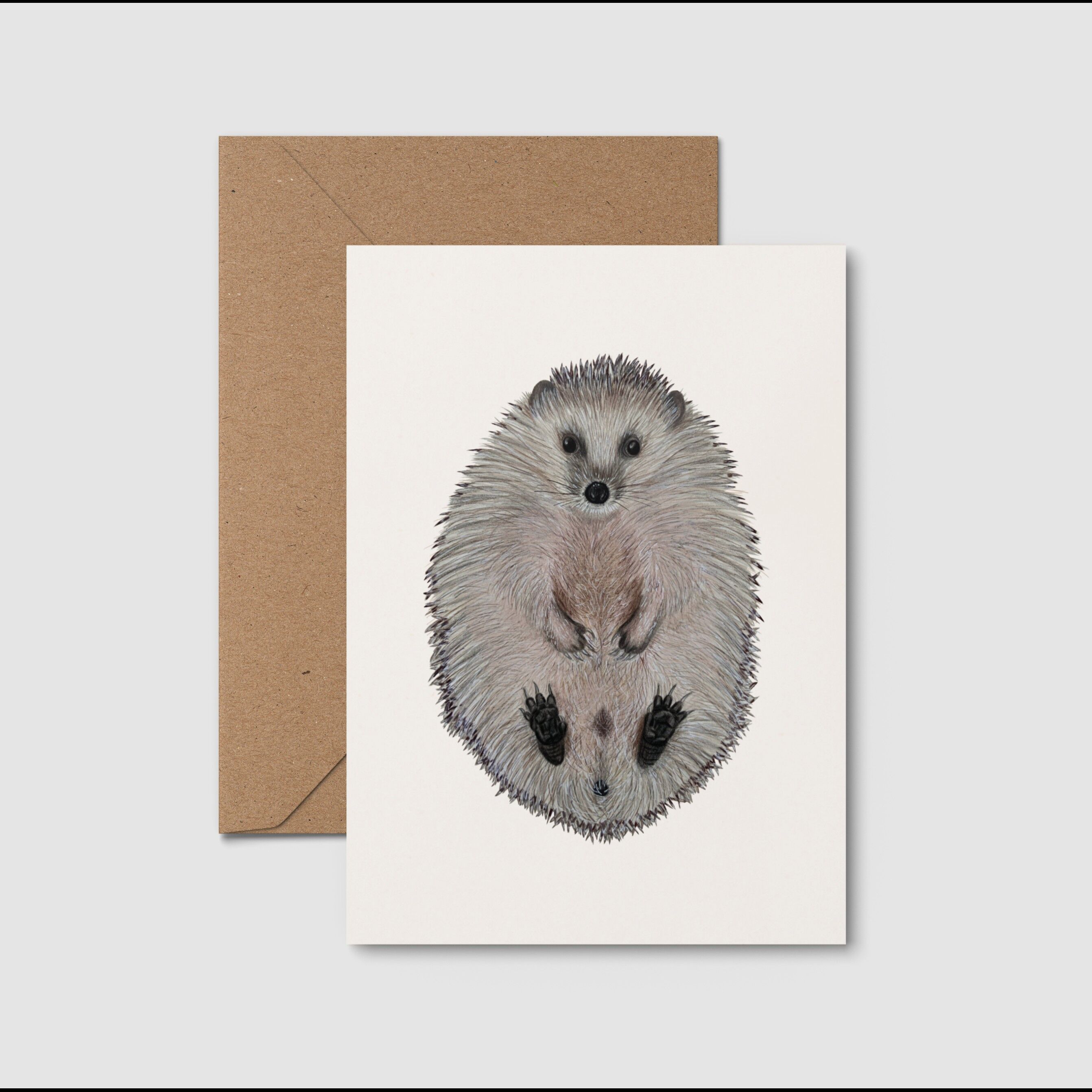 Riccio da cartolina artistica, mini disegno di riccio stampato