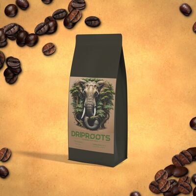 Doi Chang Premium Arabica (Thaïlande)