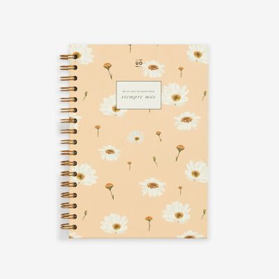 Carnet "Toujours plus"