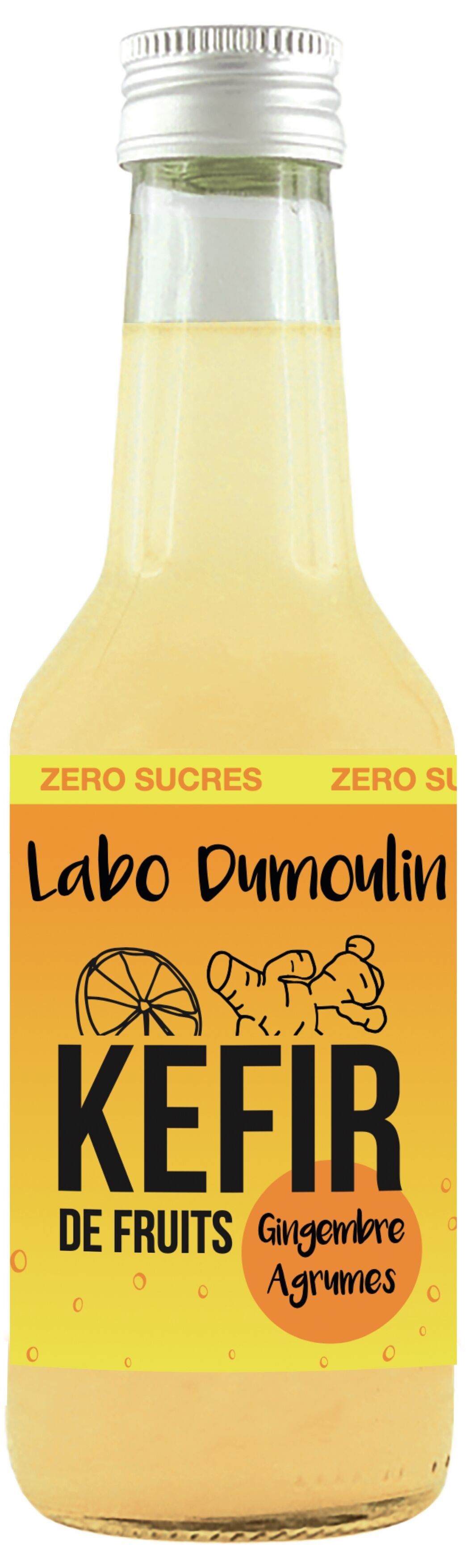 Organic Ginger Citrus Kefir 25cl Glass Bottle - ZERO SUGAR, UNPASTEURIZED