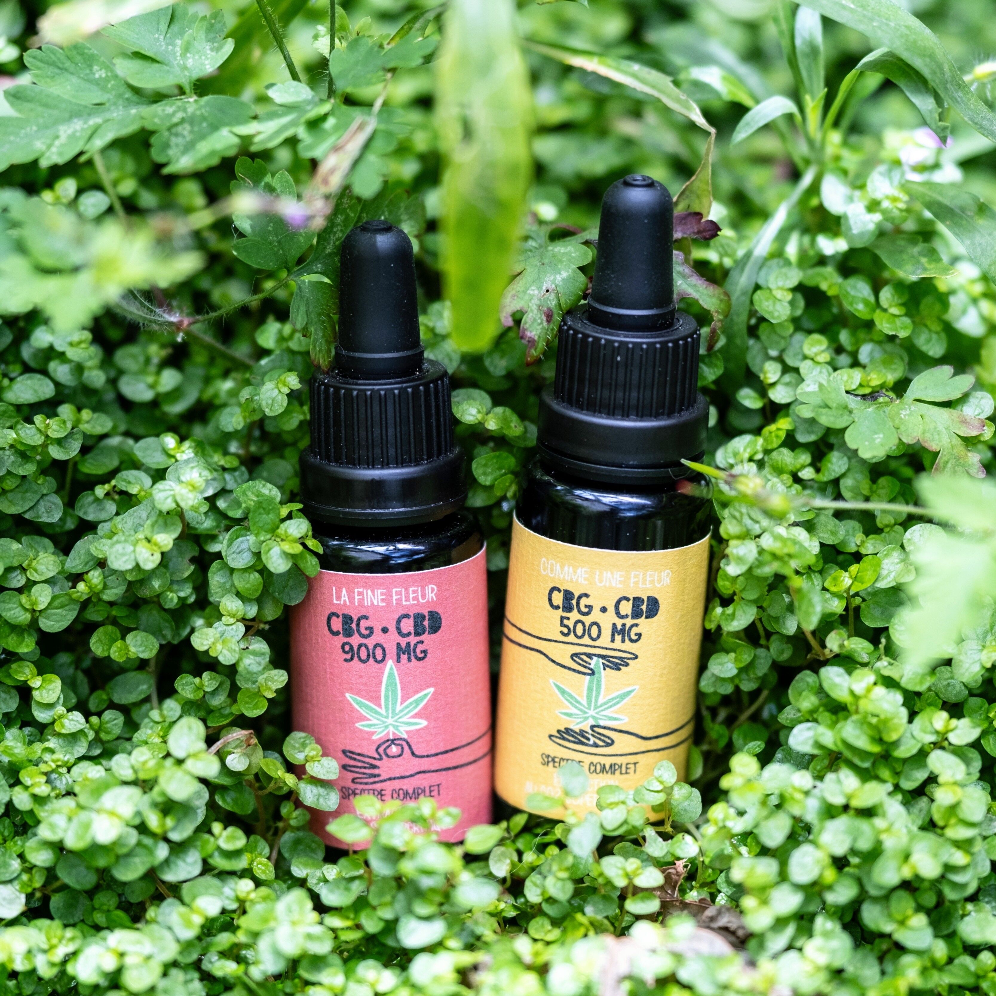 Confezione CBG 5 oli 5% + 5 oli 9%