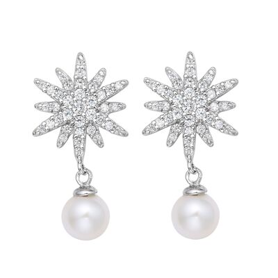 Boucles d'oreilles pendantes en perles d'aster floral