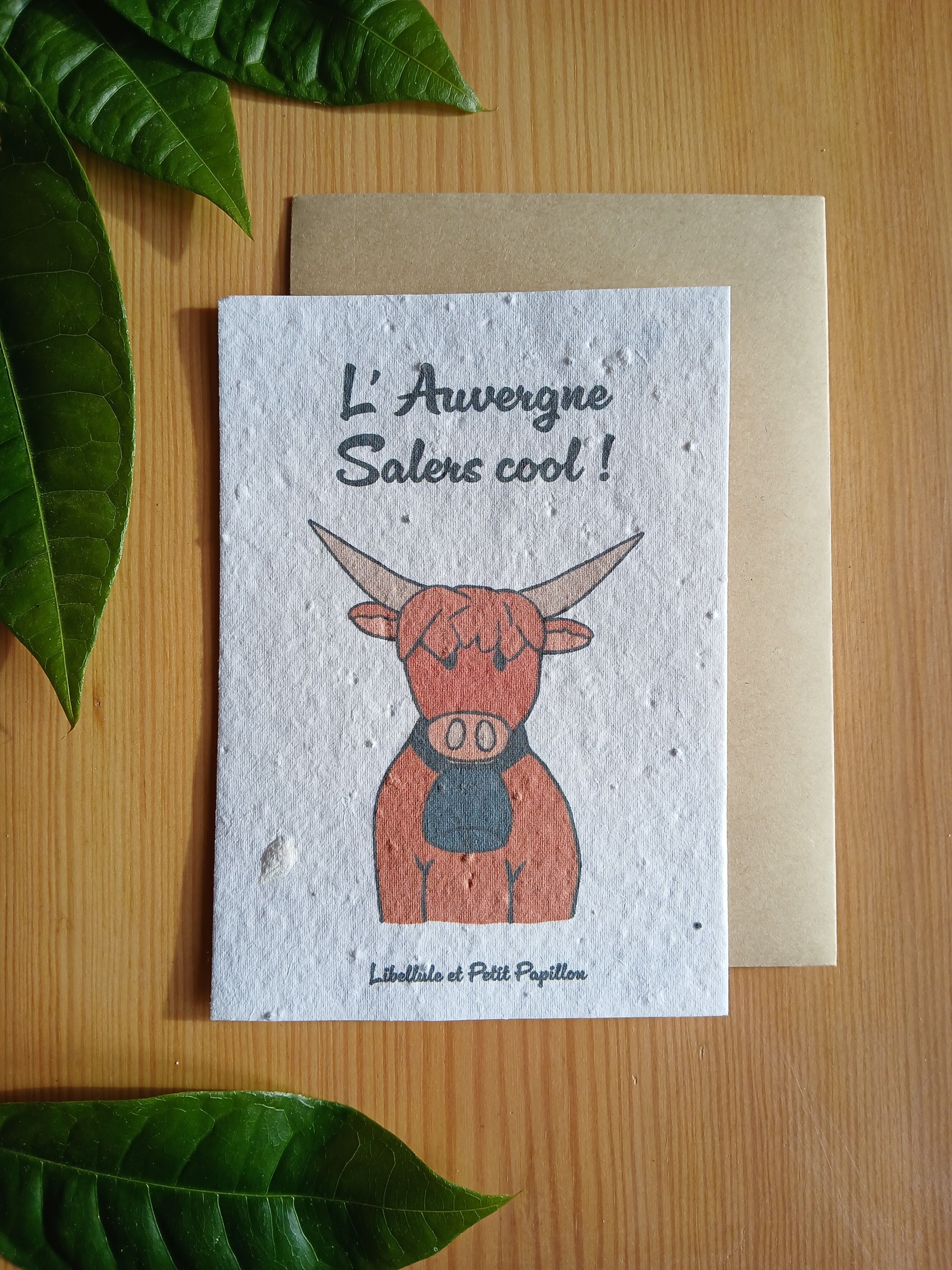 Pflanzkarte - Auvergne - "Salers"