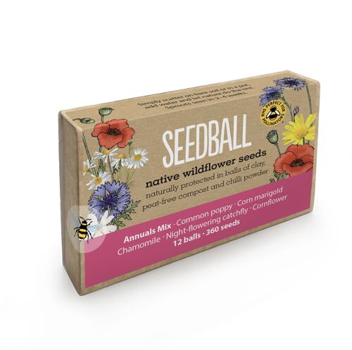 Large Seed Boxes (Multiple Varieties)