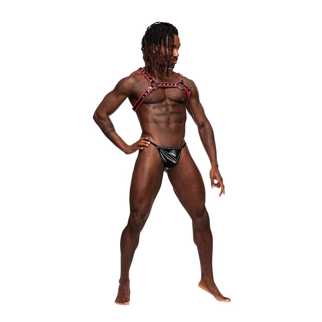 Leo - Kunstledergeschirr - Einheitsgröße - Schwarz/Rot