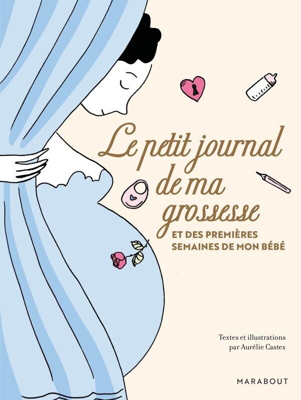 Livre Le petit journal de ma grossesse