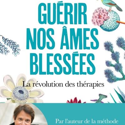 Libro - Sanando Nuestras Almas Heridas